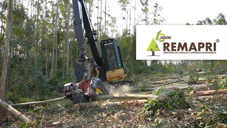 Remapri – colheita florestal, transporte e beneficiamento de madeira – Santa Catarina